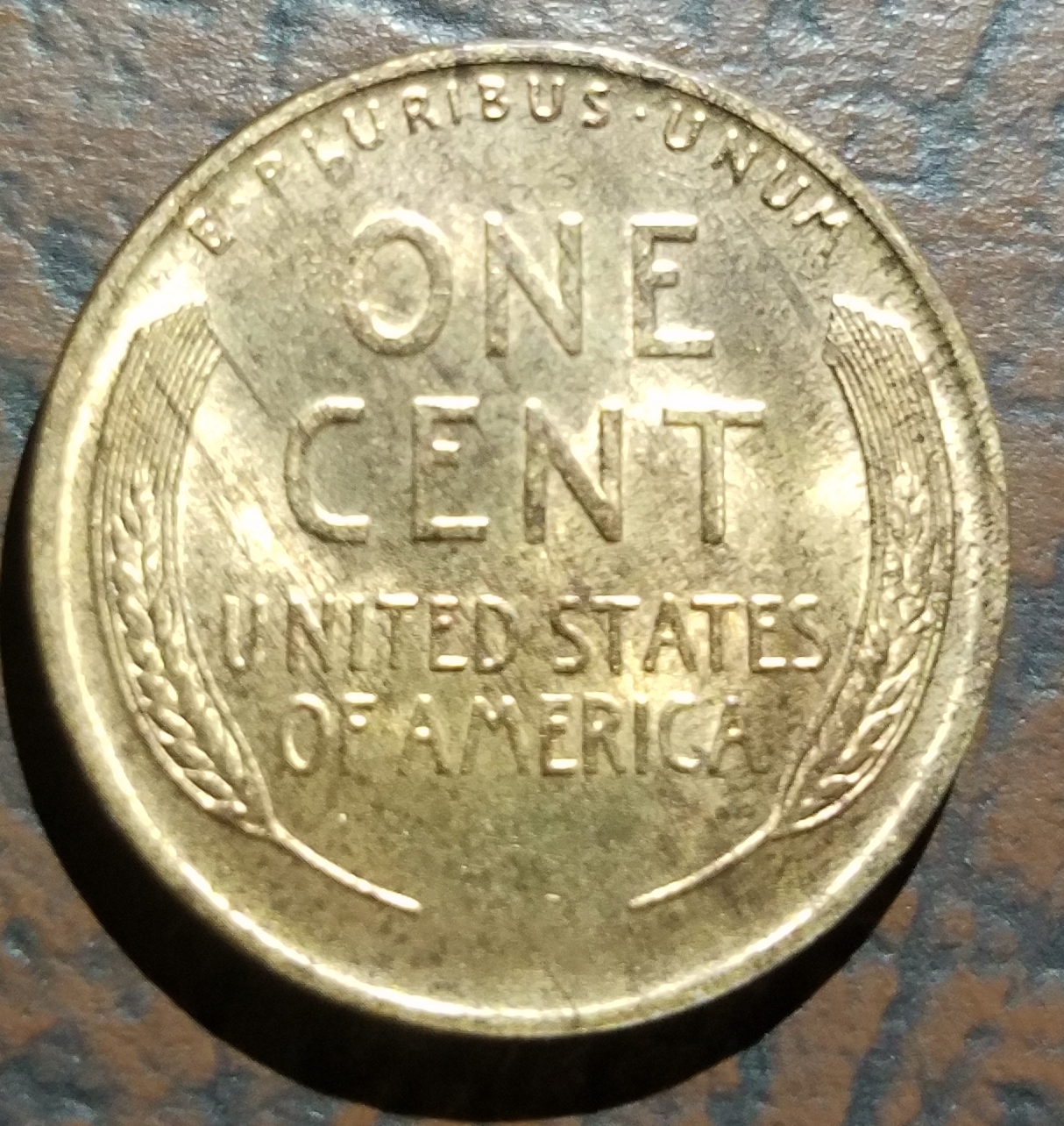 20190325_002948.jpg