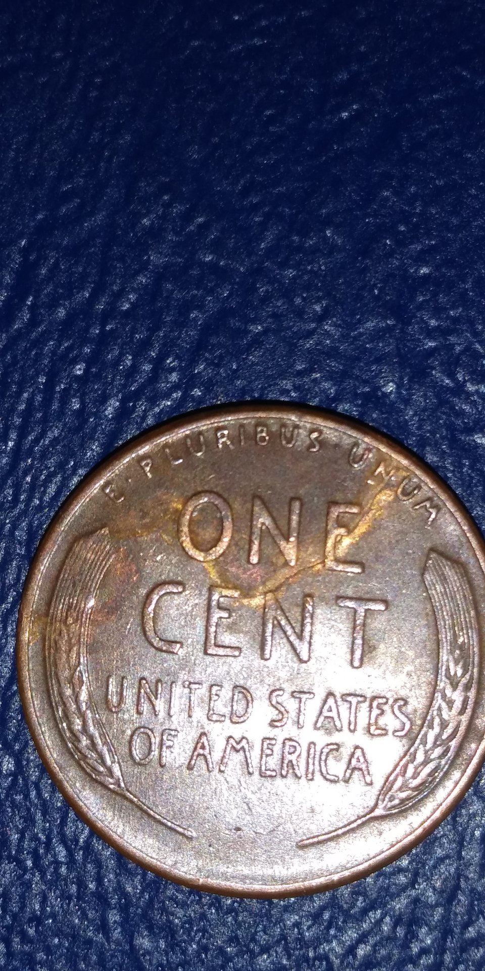 20190325_225506.jpg