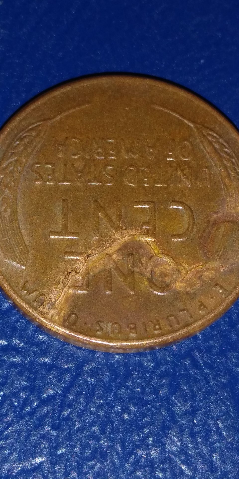 20190326_121427.jpg