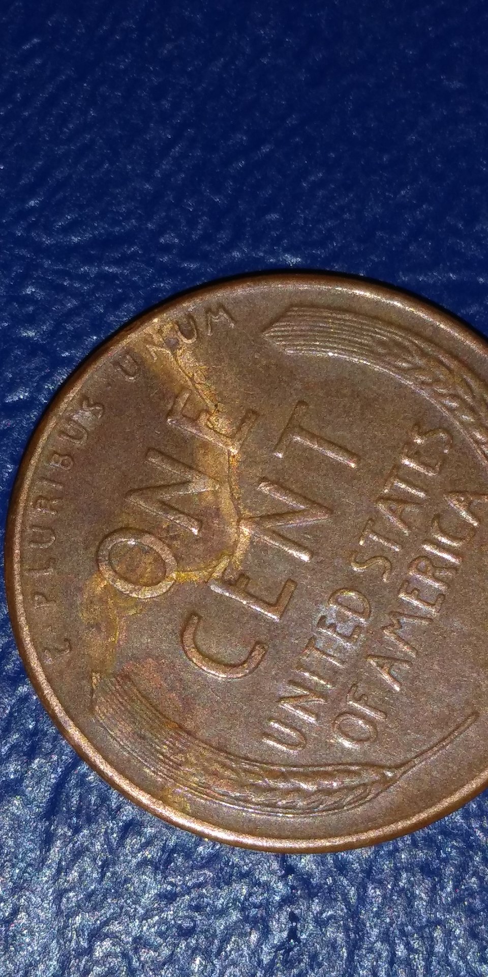 20190326_121728.jpg