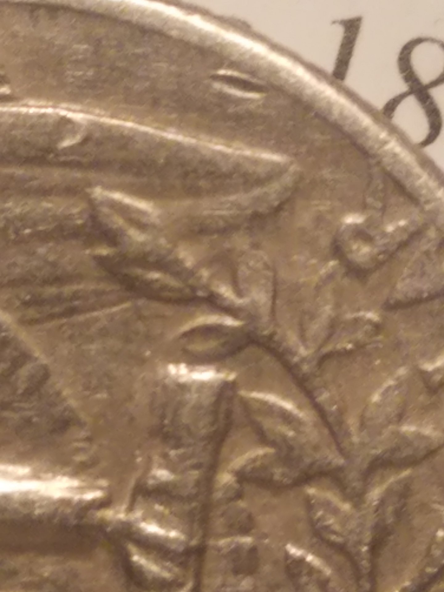 20190328_014043.jpg