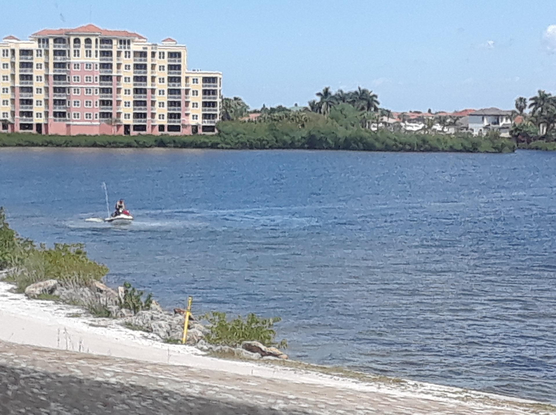 20190331_144535.jpg