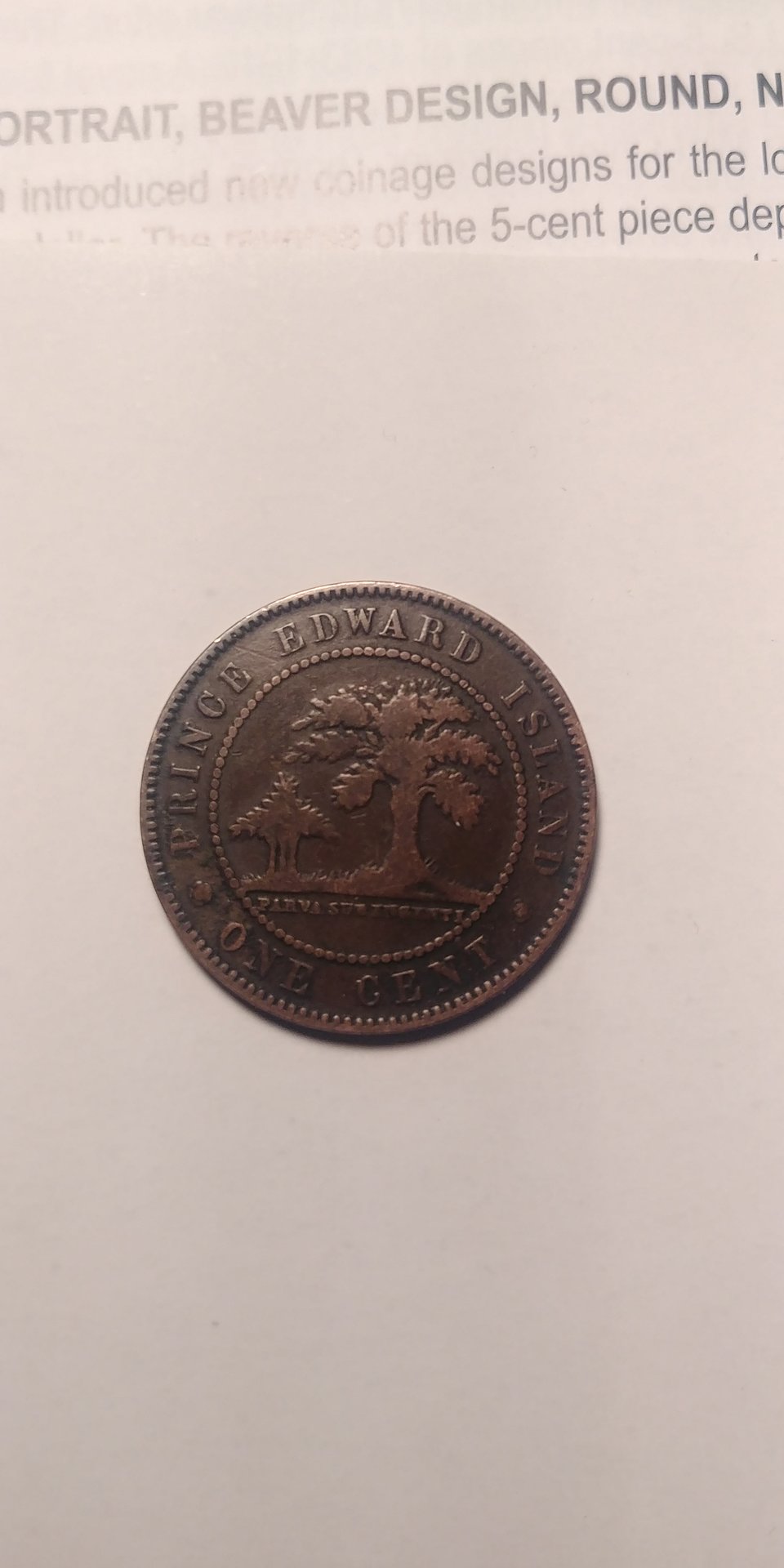 20190401_141919_HDR.jpg