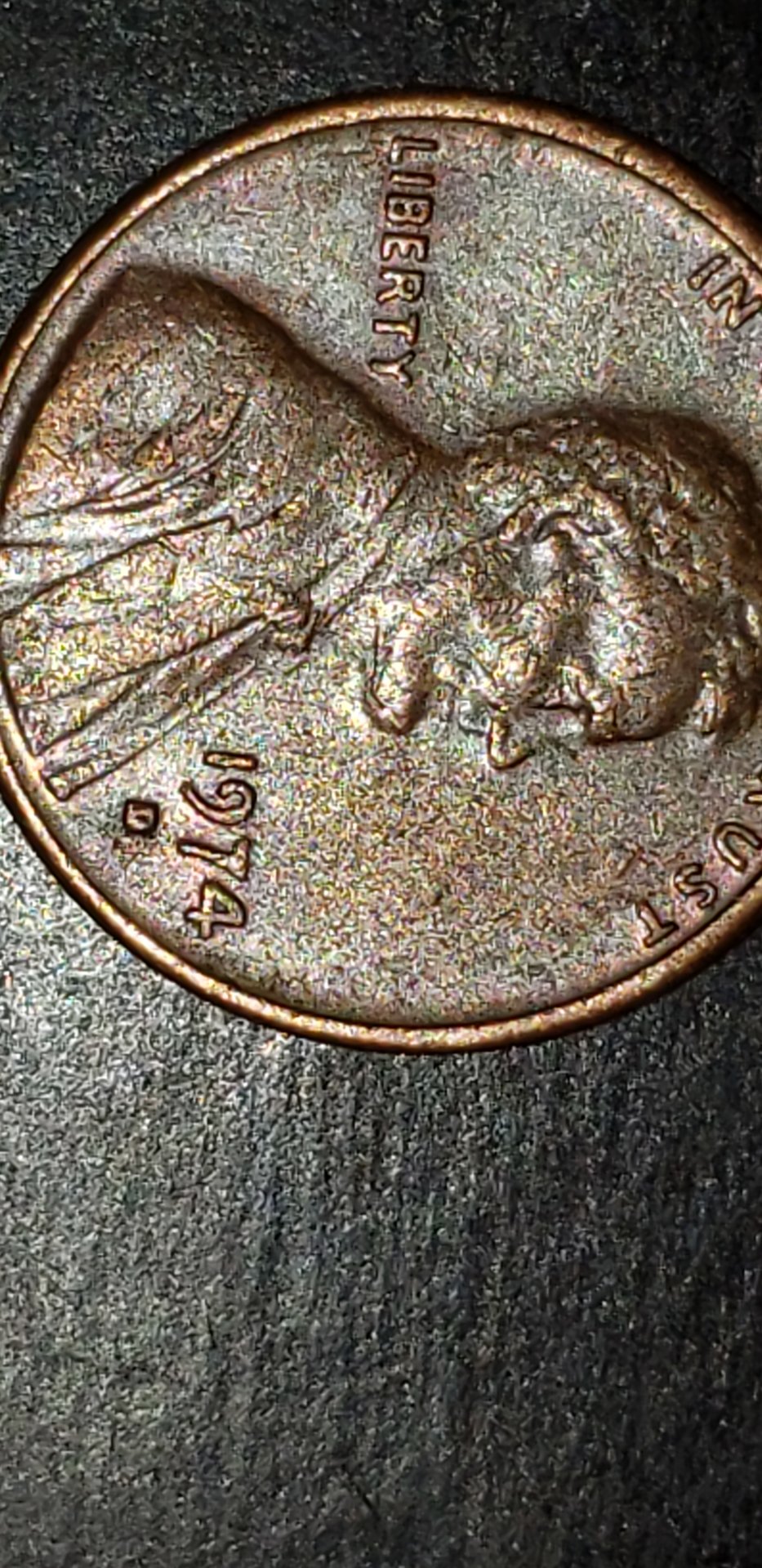20190401_145544.jpg