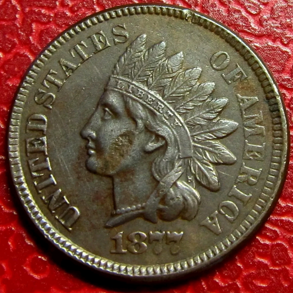 20190401_151432.jpg
