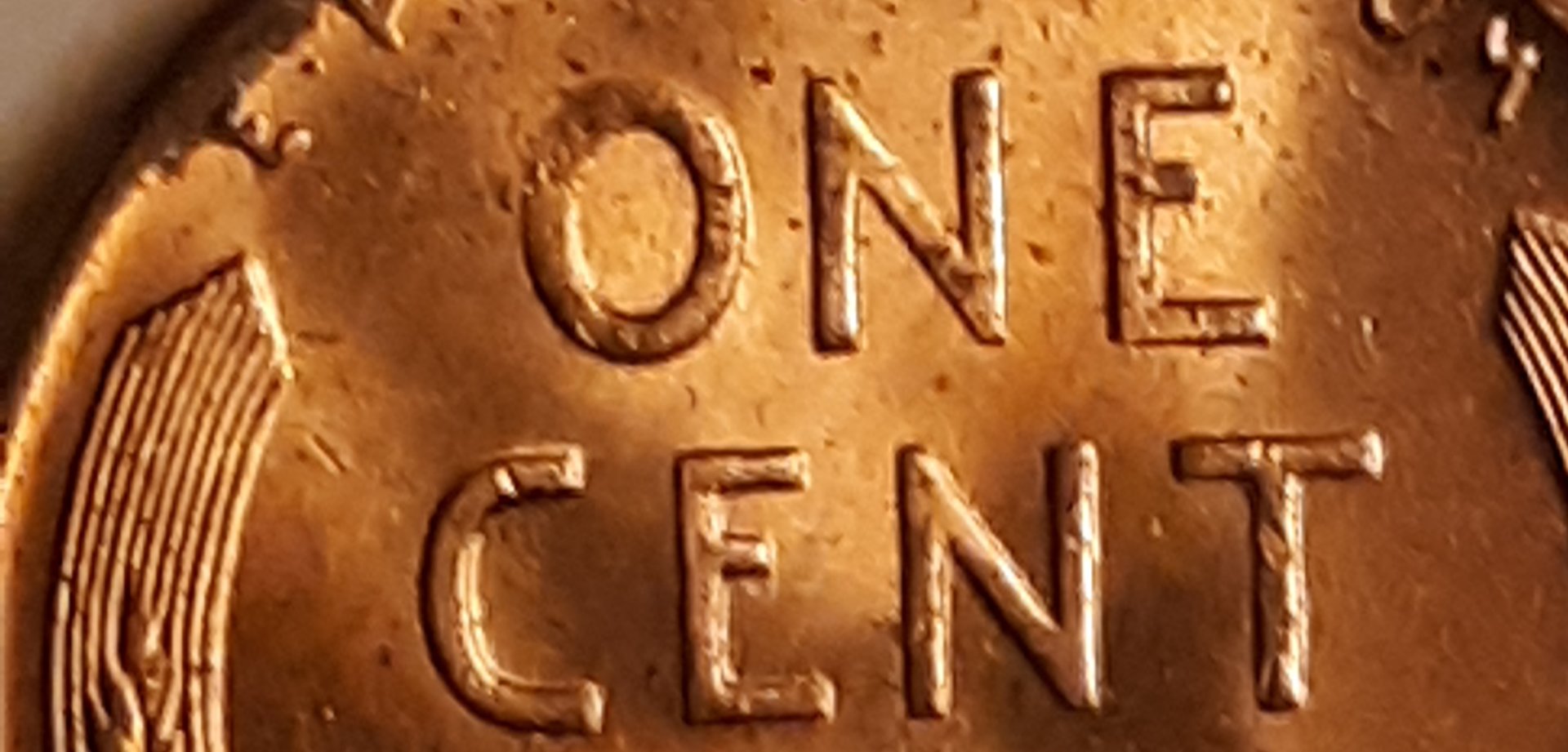 20190402_033656.jpg