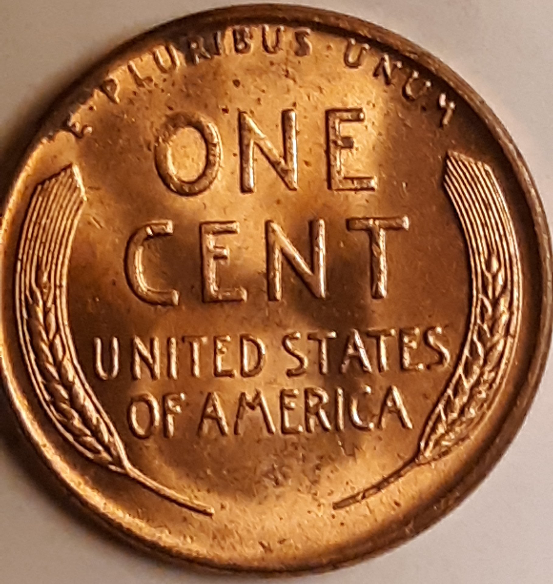 20190402_033850.jpg