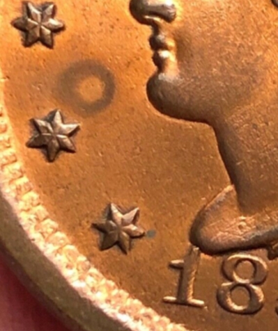 20190402_190209.jpg