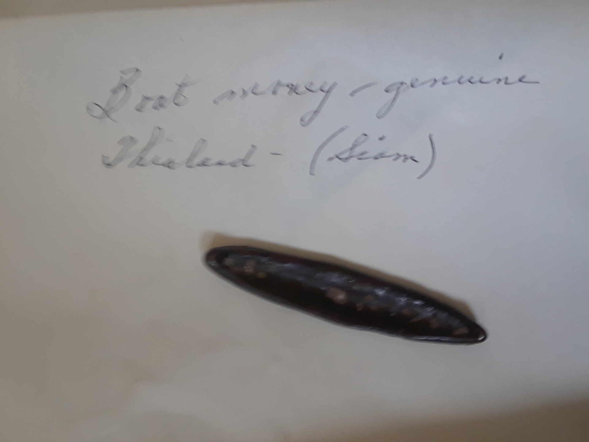 20190403_160021.jpg