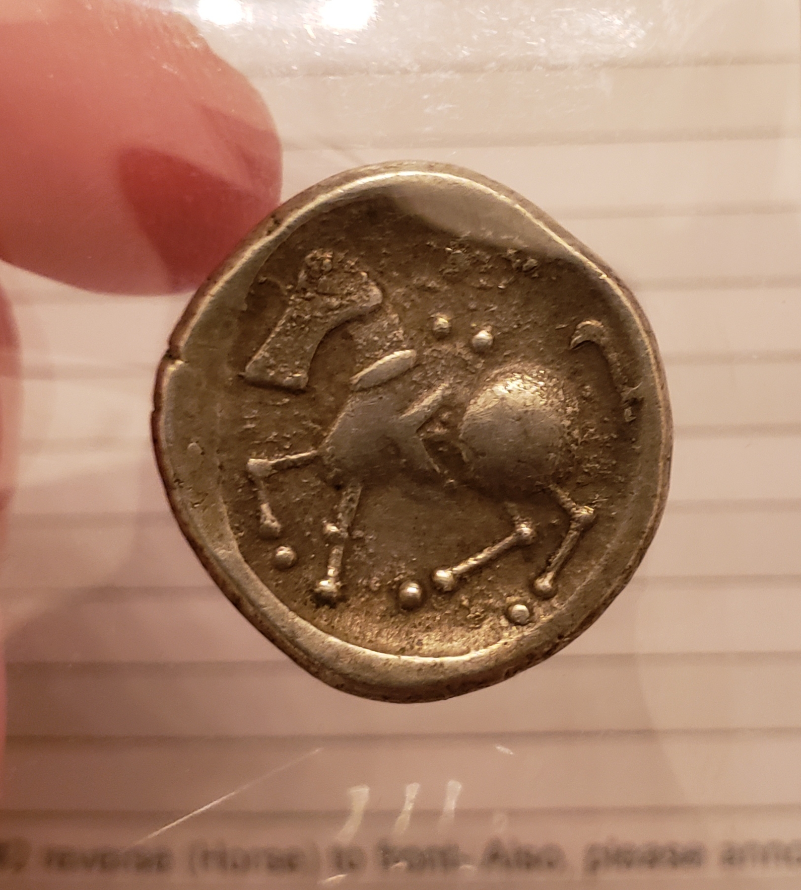 20190404_190151.jpg