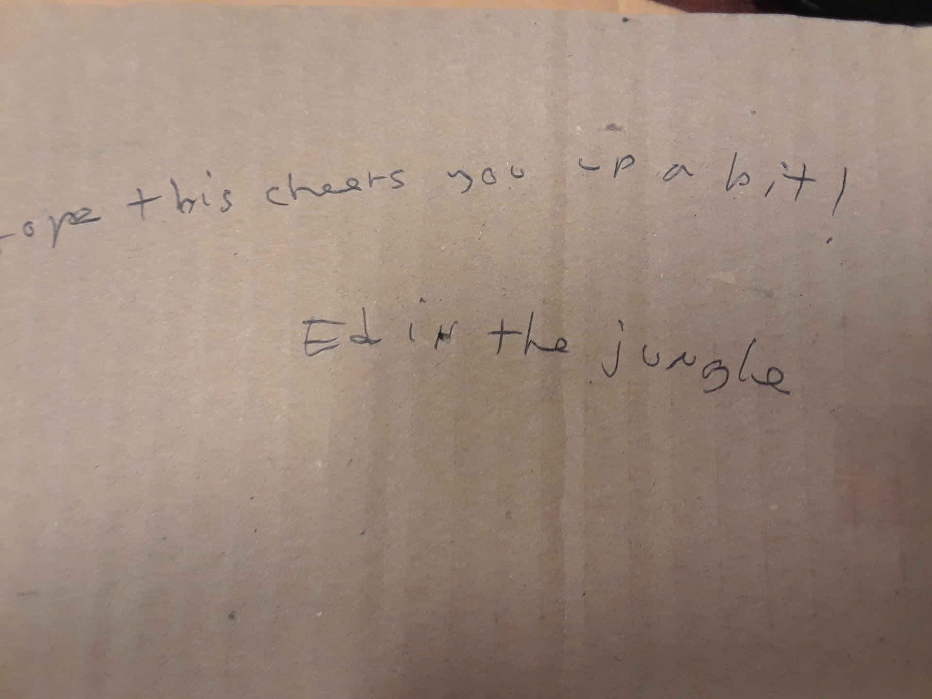 20190406_061113.jpg