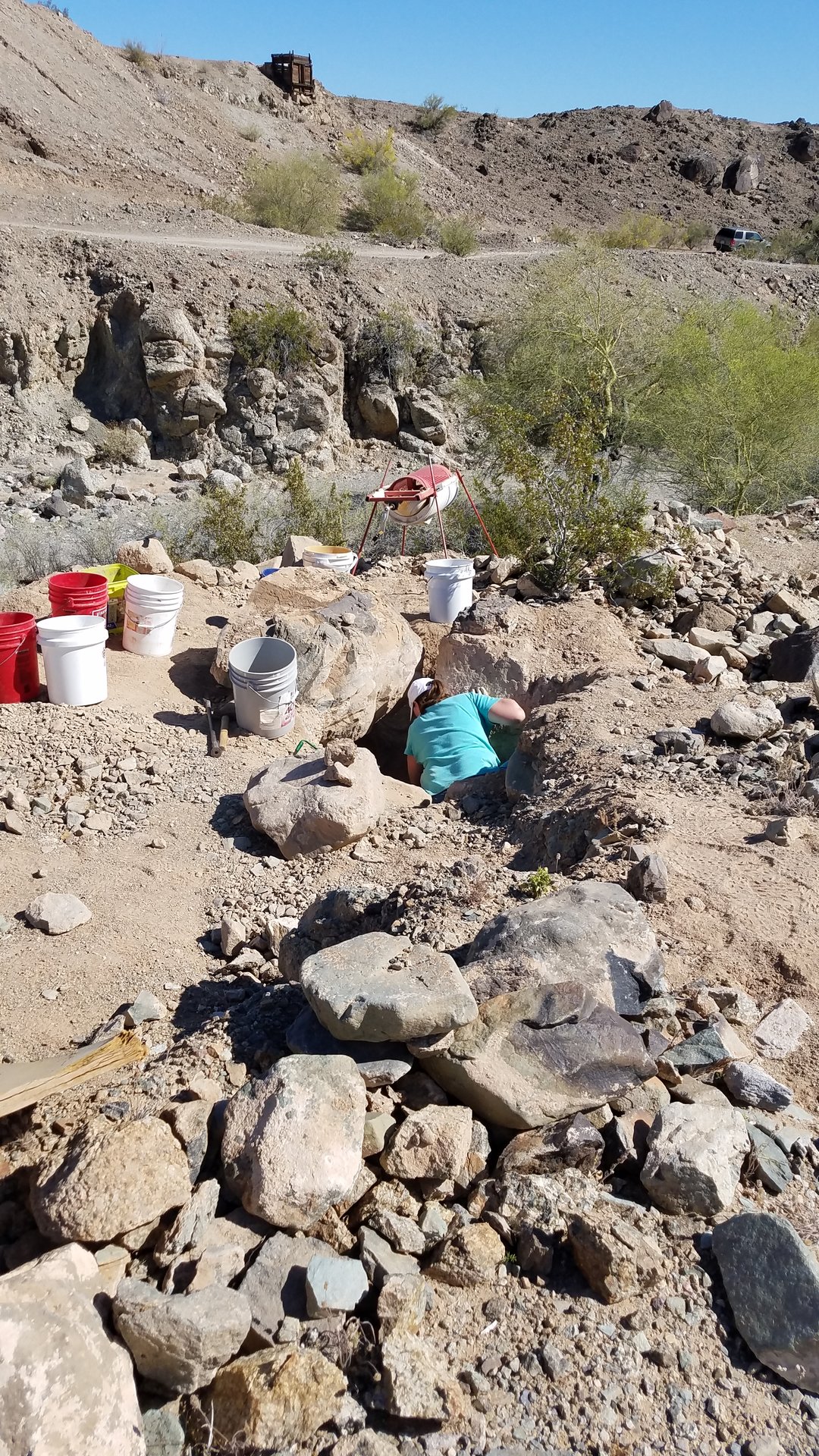 20190406_095408.jpg