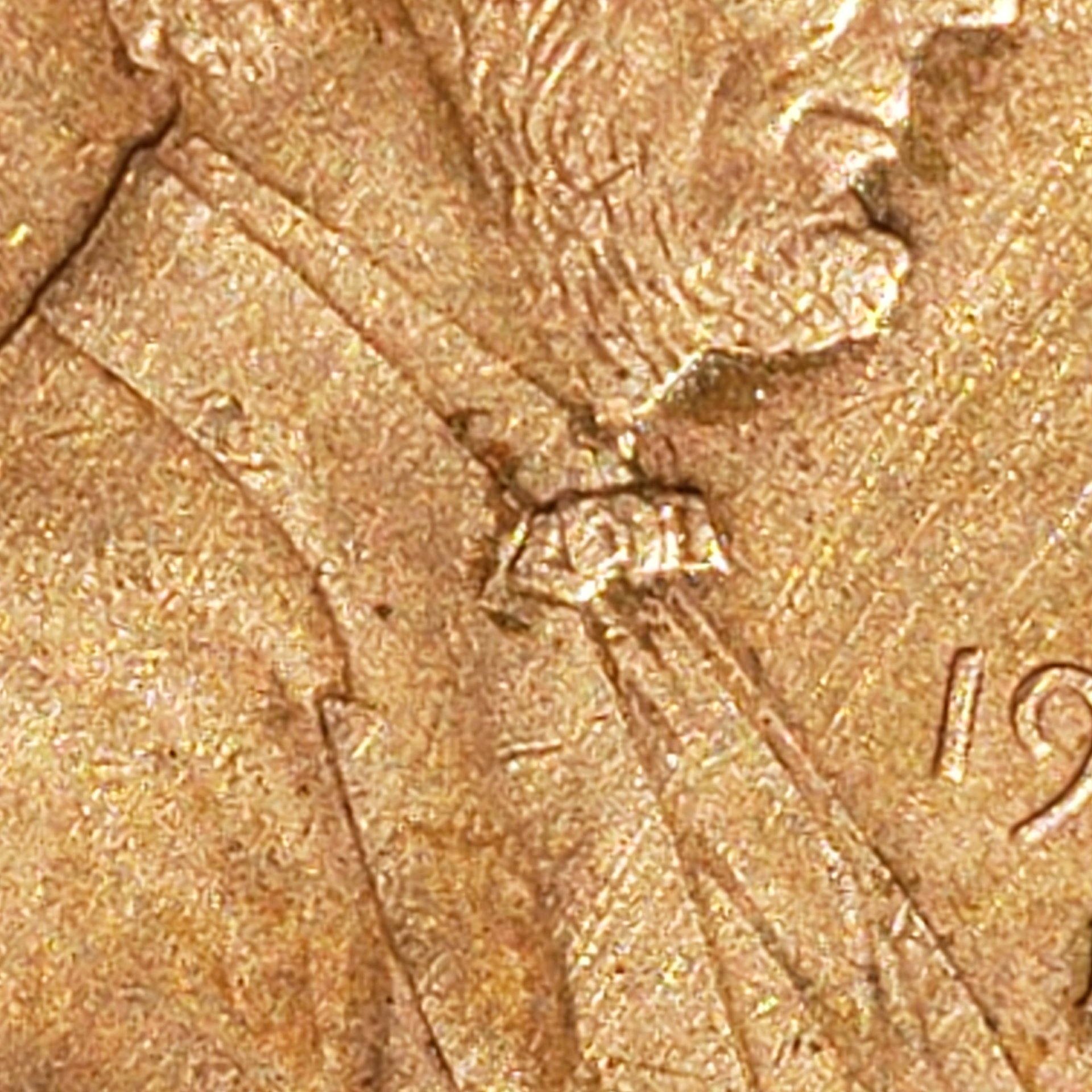 20190406_105925.jpg
