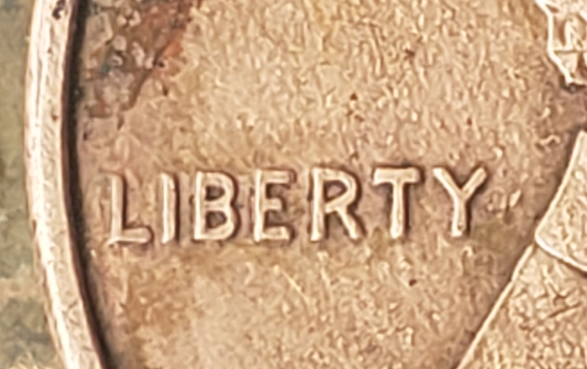 20190406_110119.jpg