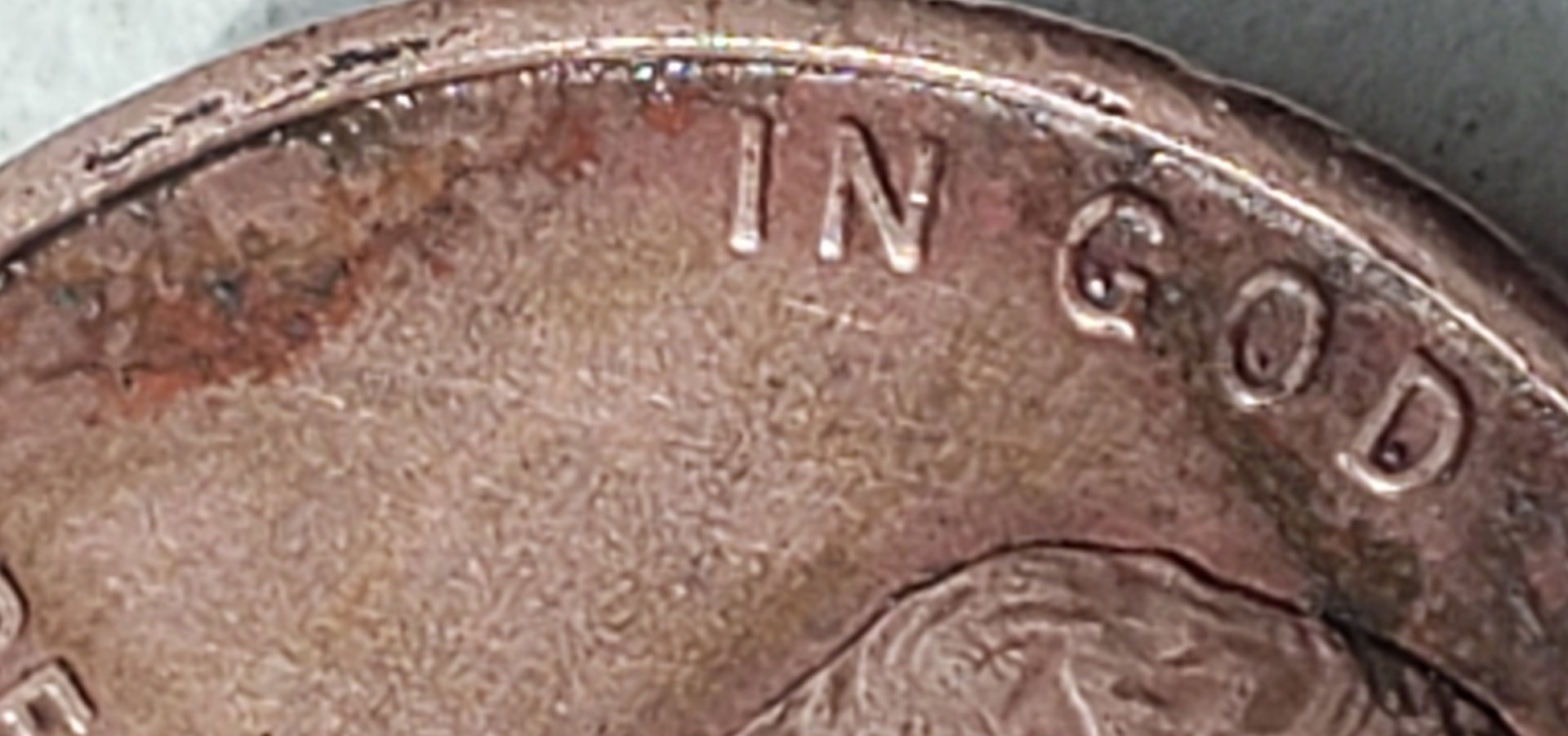 20190406_110253.jpg