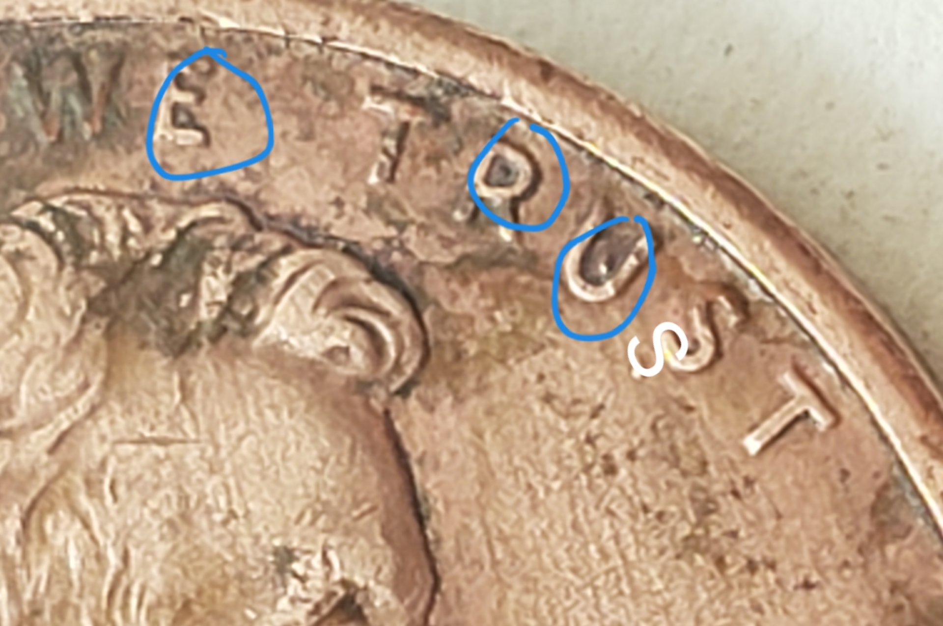 20190406_113801.jpg