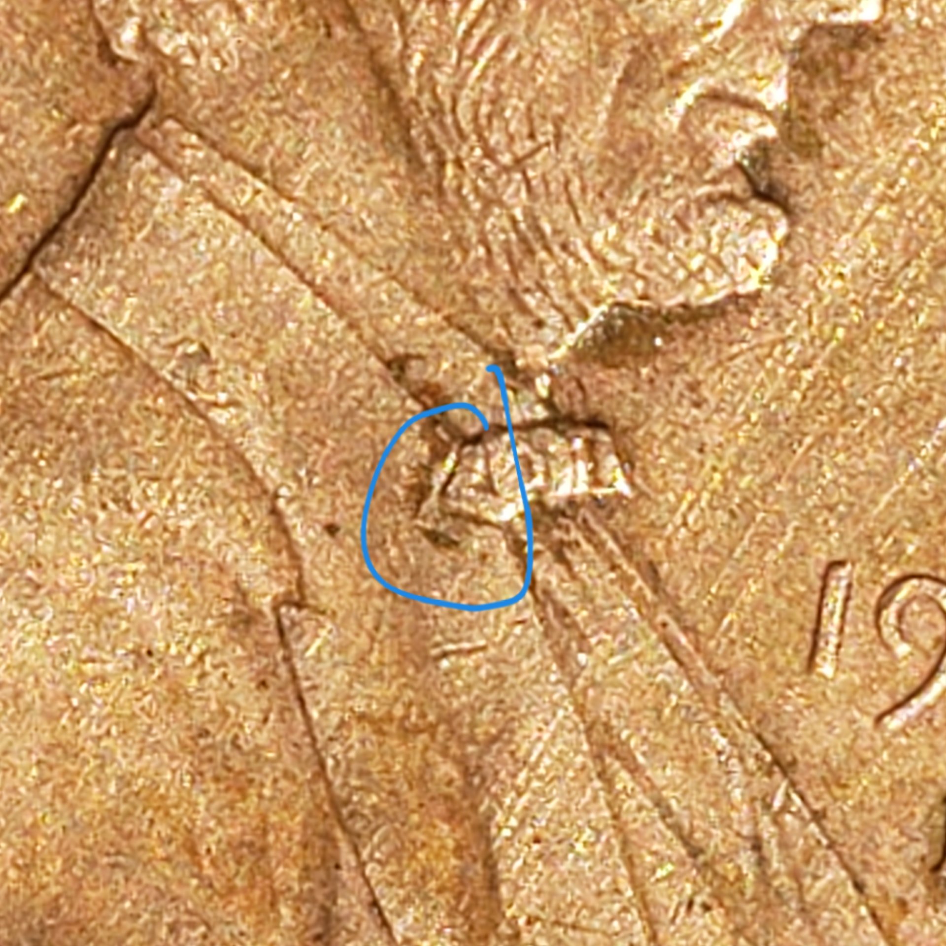 20190406_113822.jpg