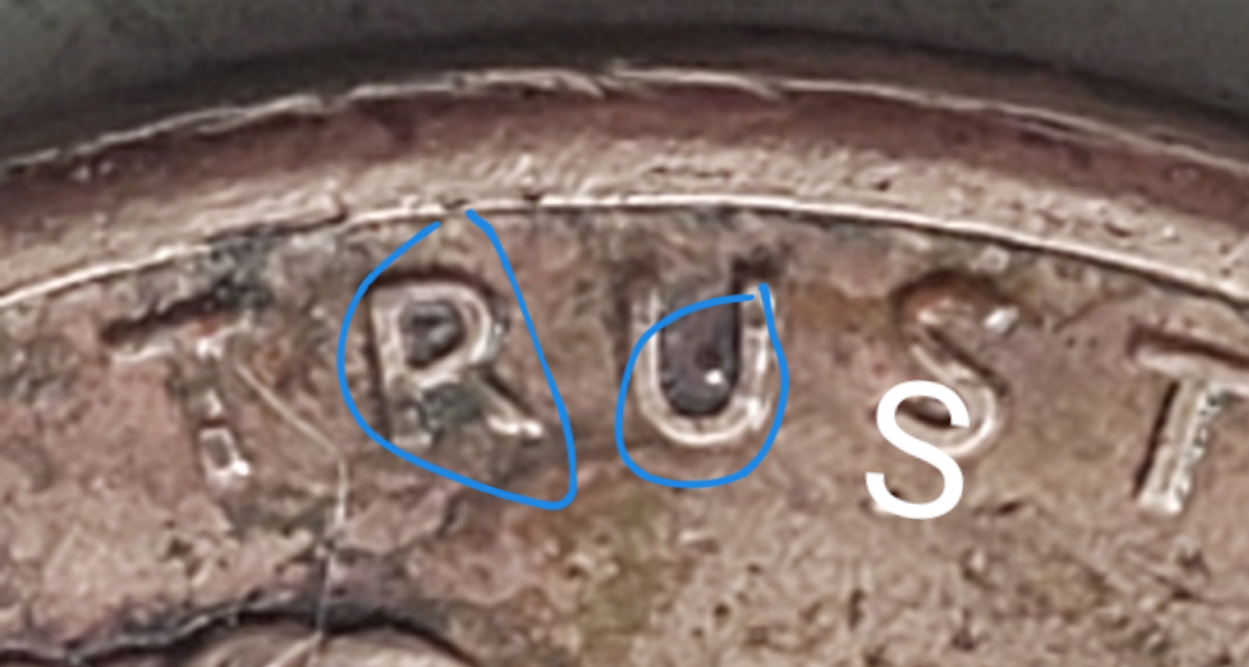 20190406_114113.jpg