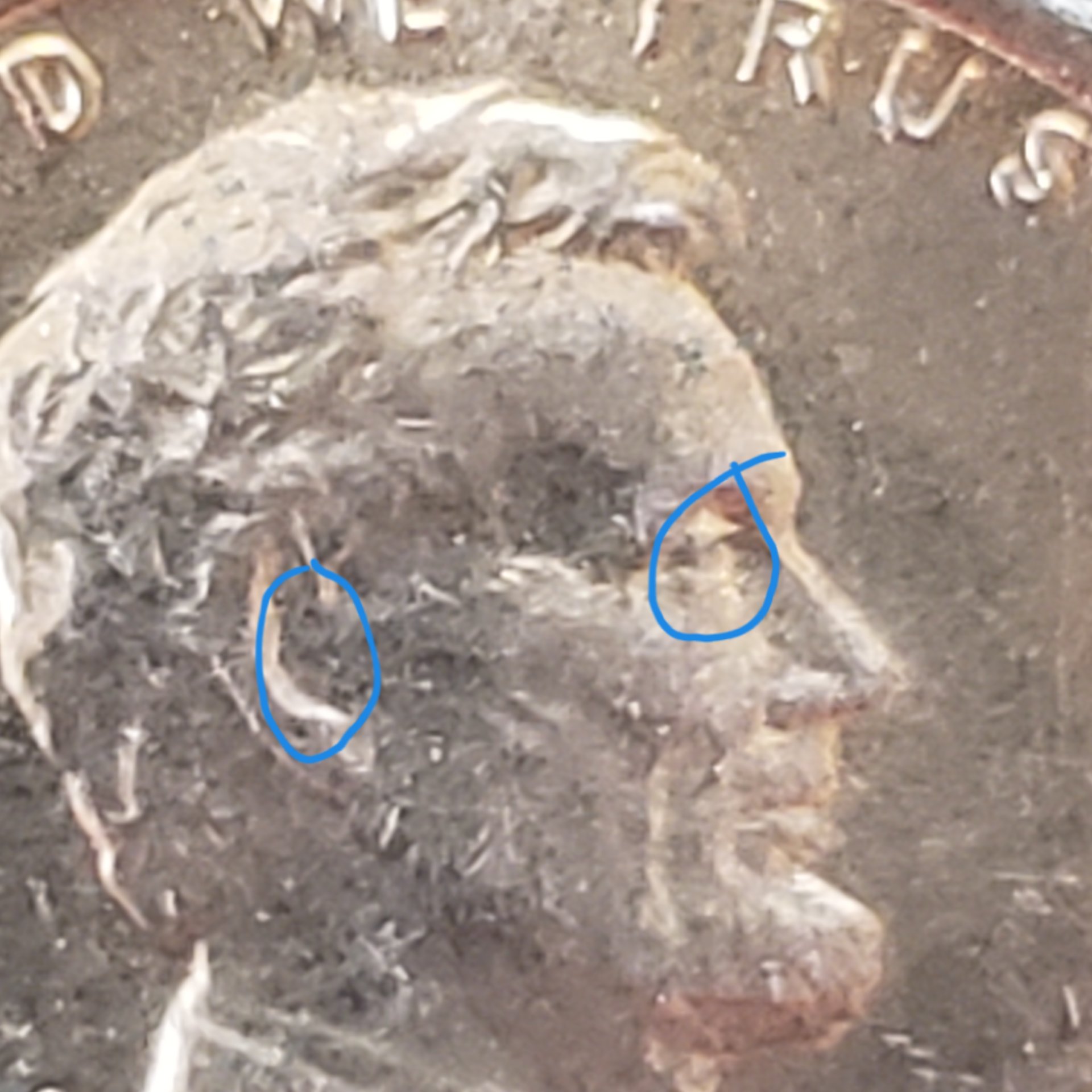 20190406_124556.jpg
