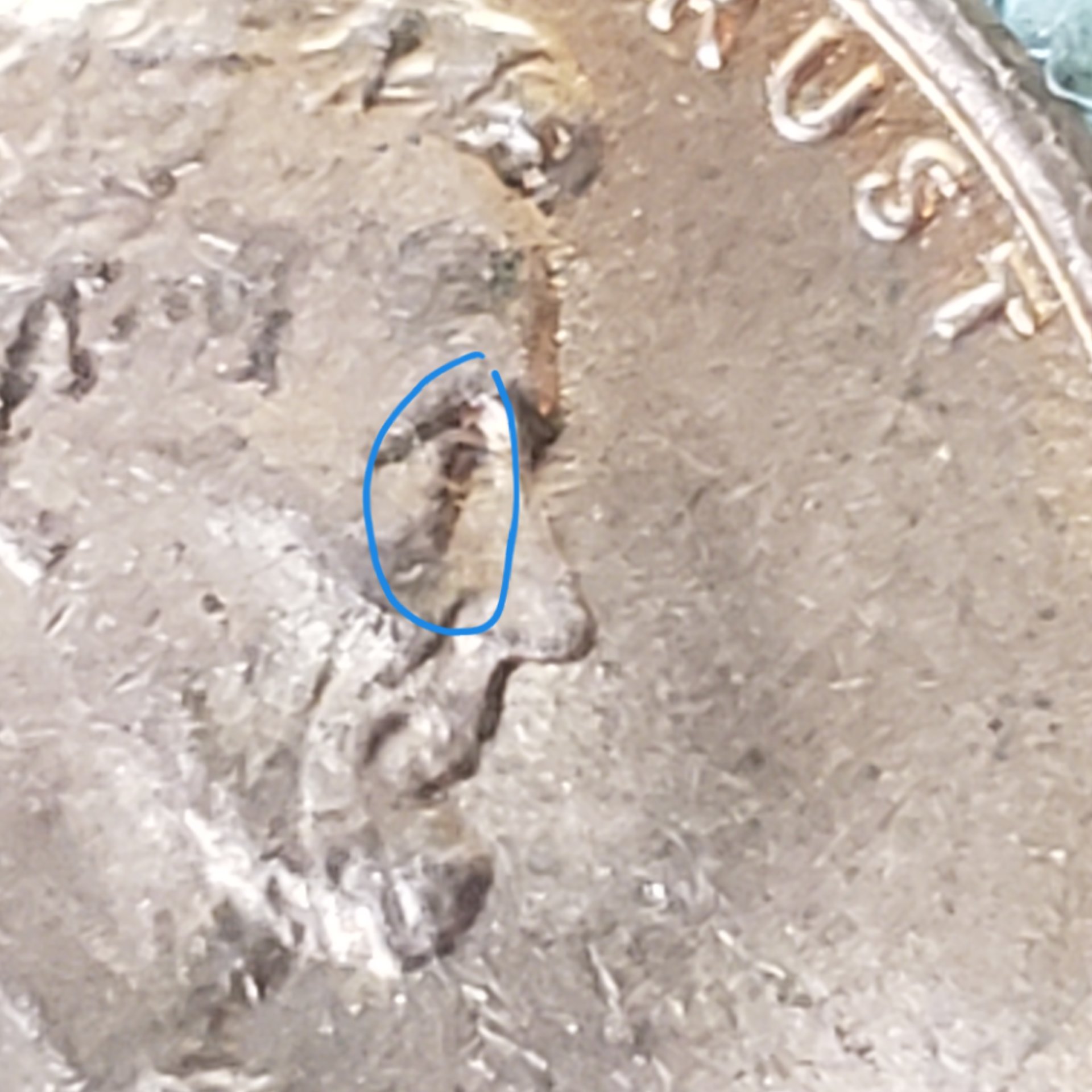 20190406_124701.jpg