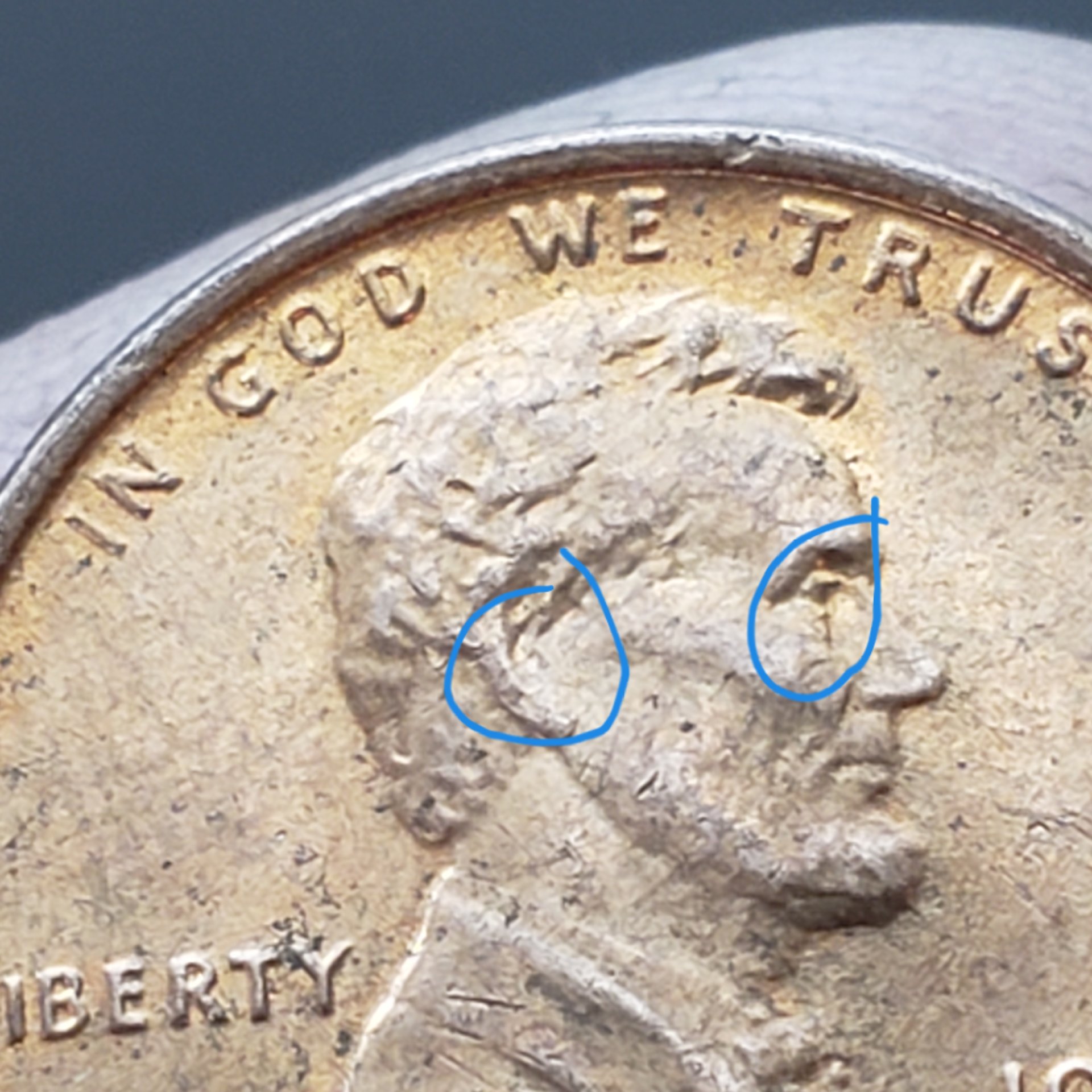 20190406_125214.jpg