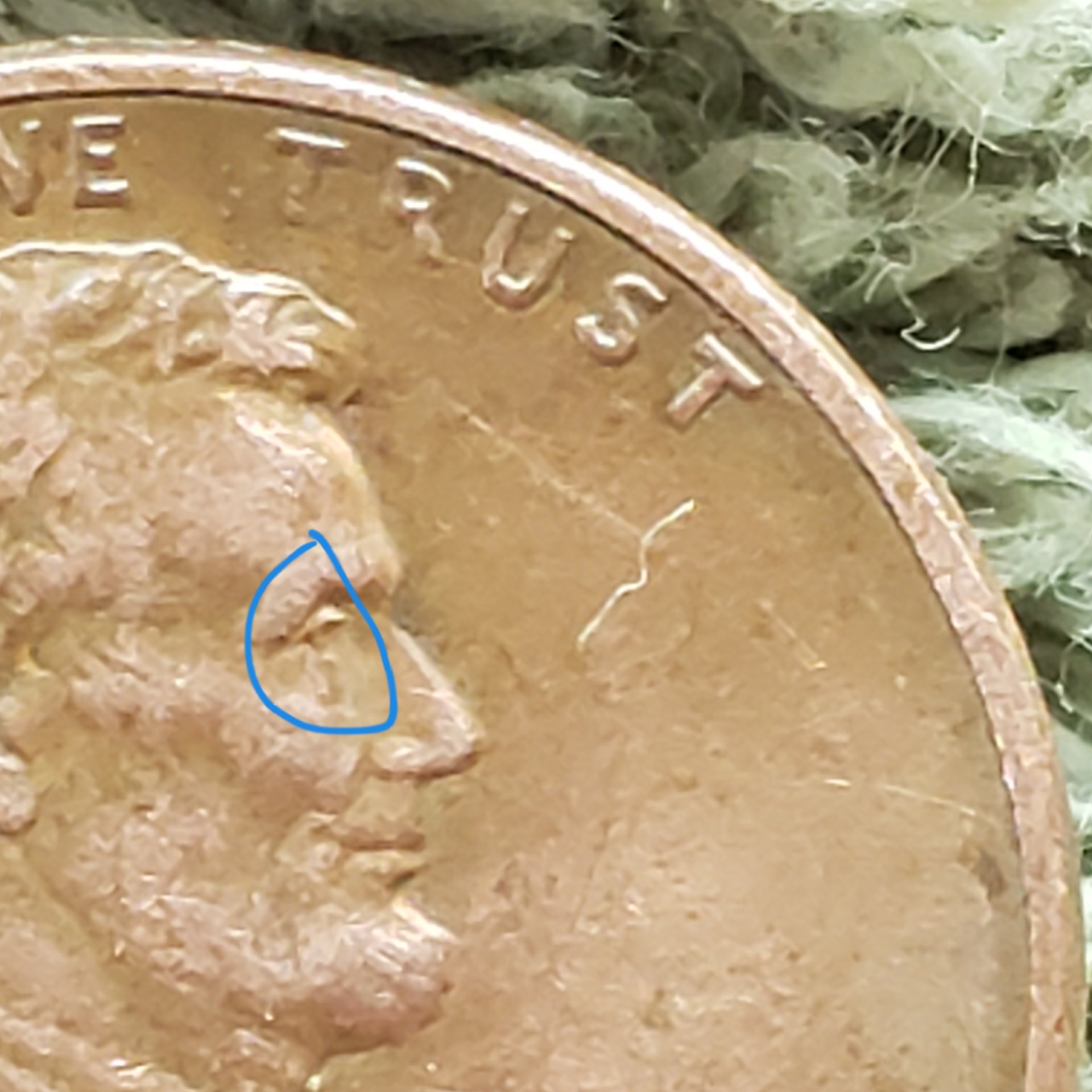 20190406_135314.jpg
