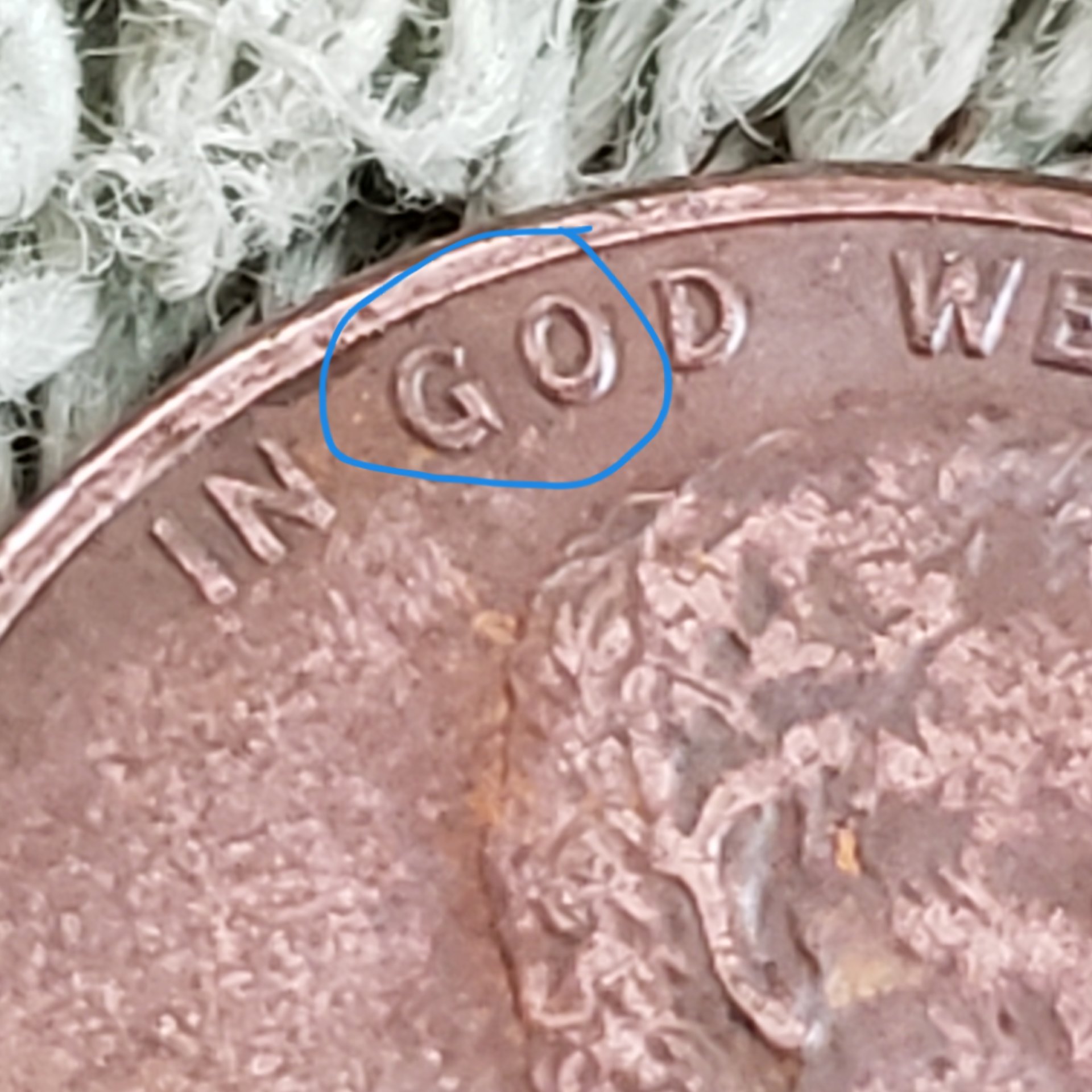 20190406_135338.jpg