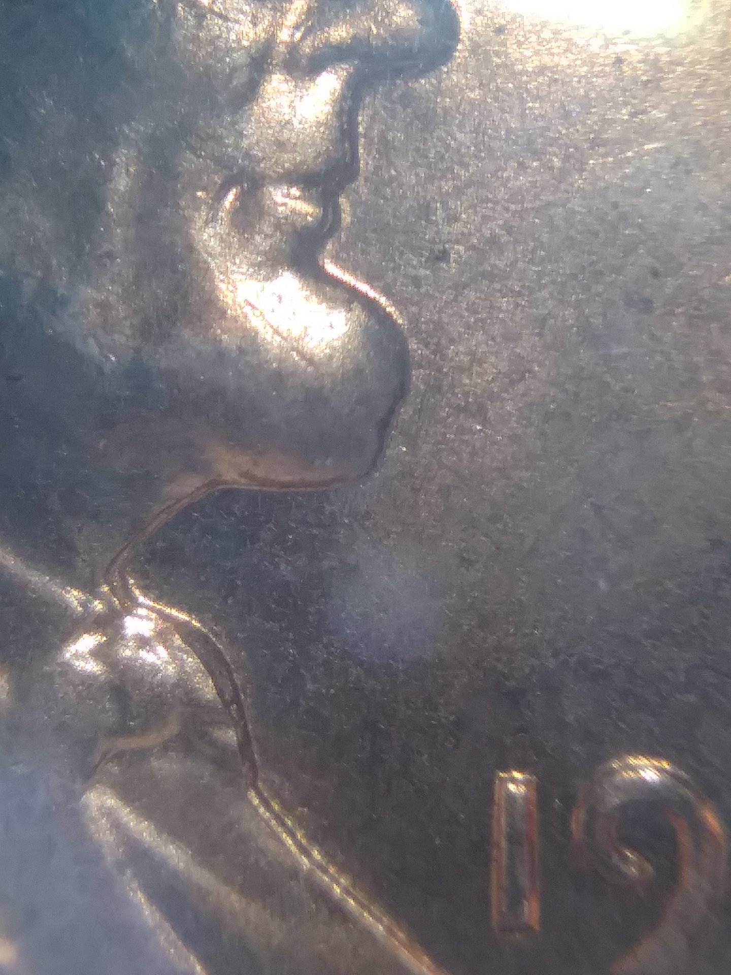 20190406_202529.jpg
