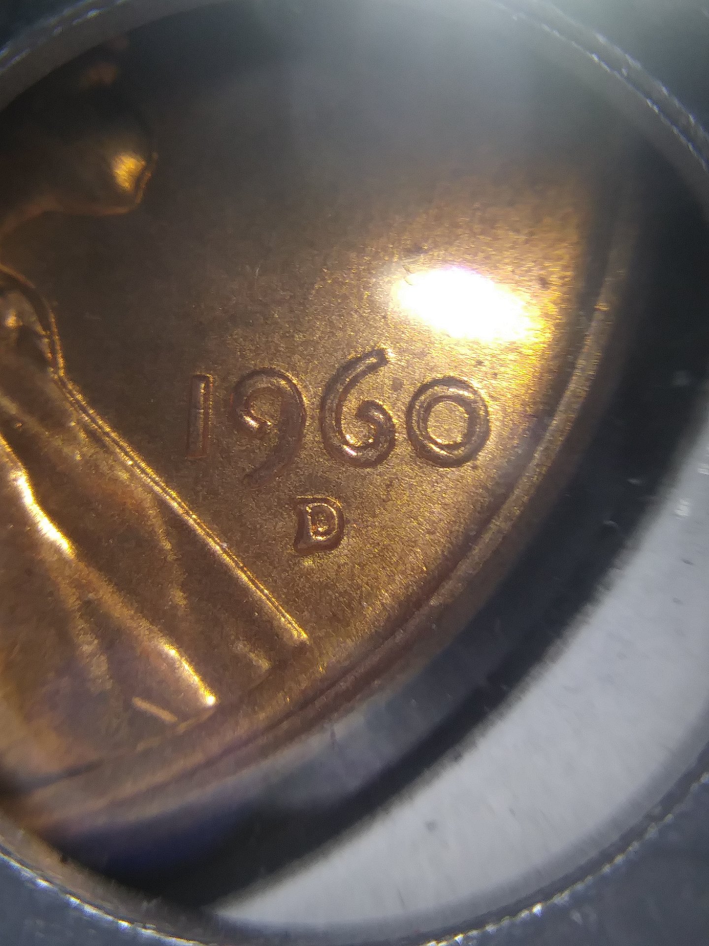 20190406_202815.jpg