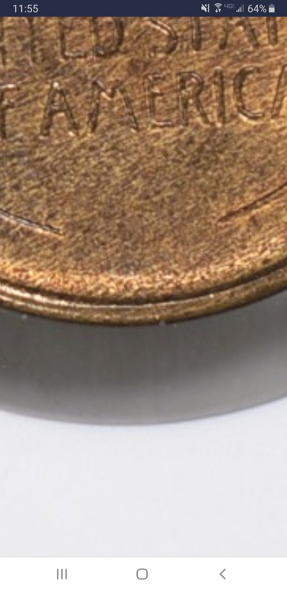 20190407_115559.jpg