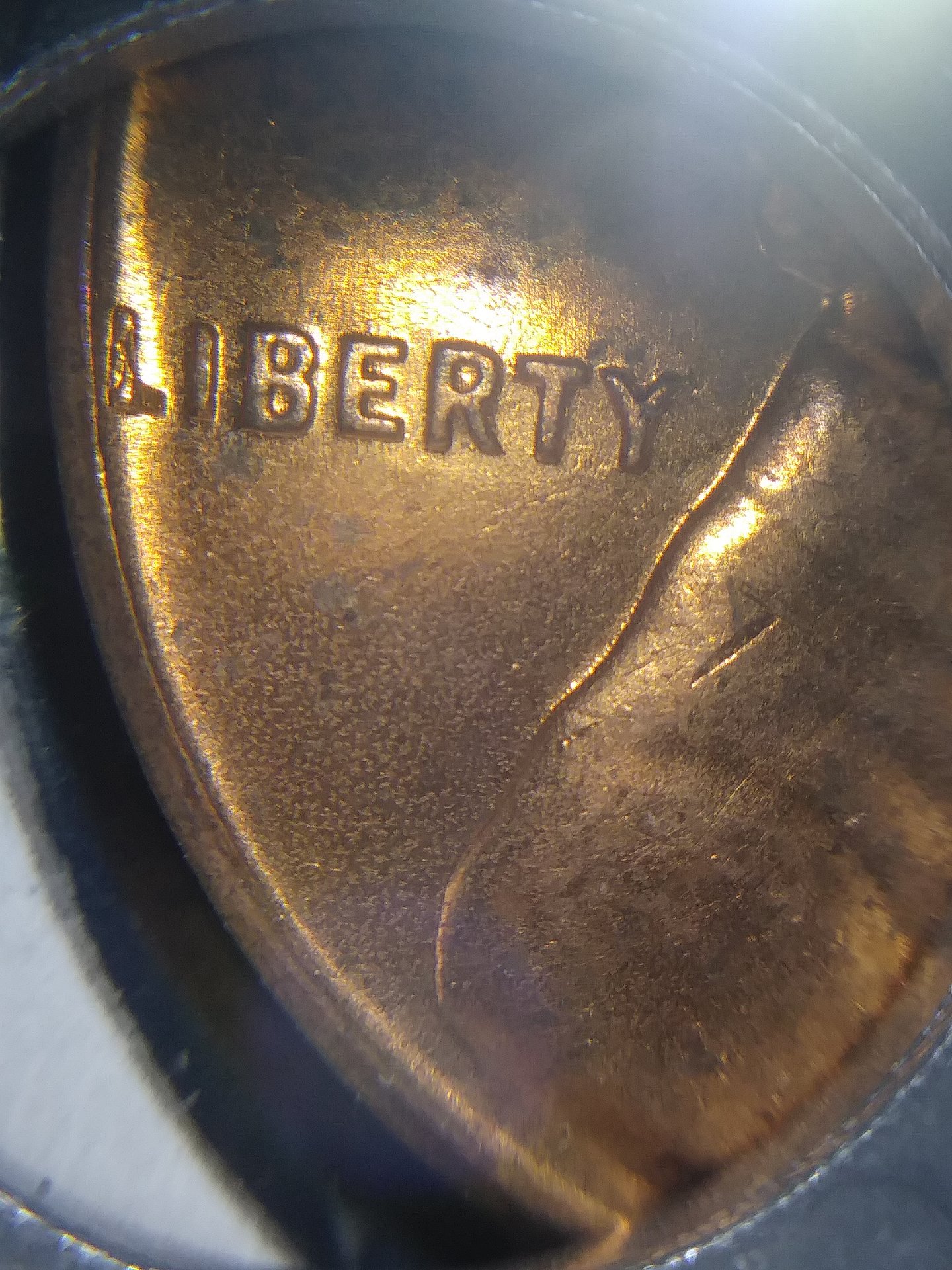 20190407_125645.jpg