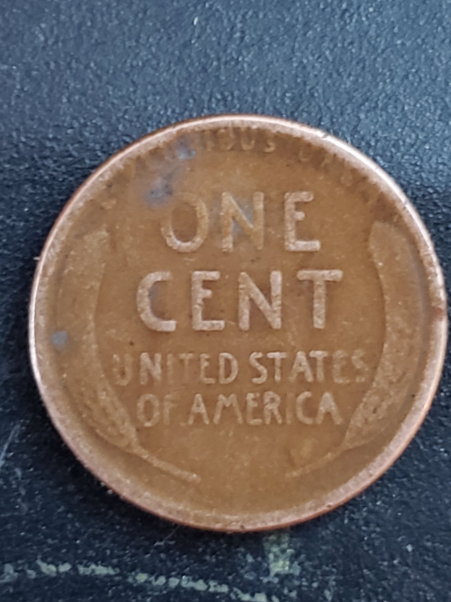 20190407_153541.jpg