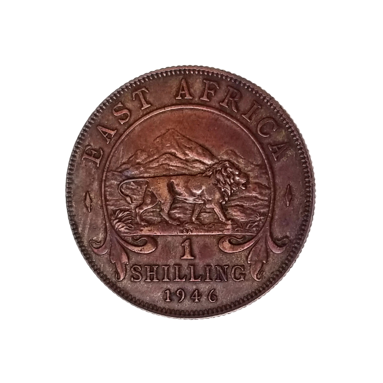 20190408_203124.jpg