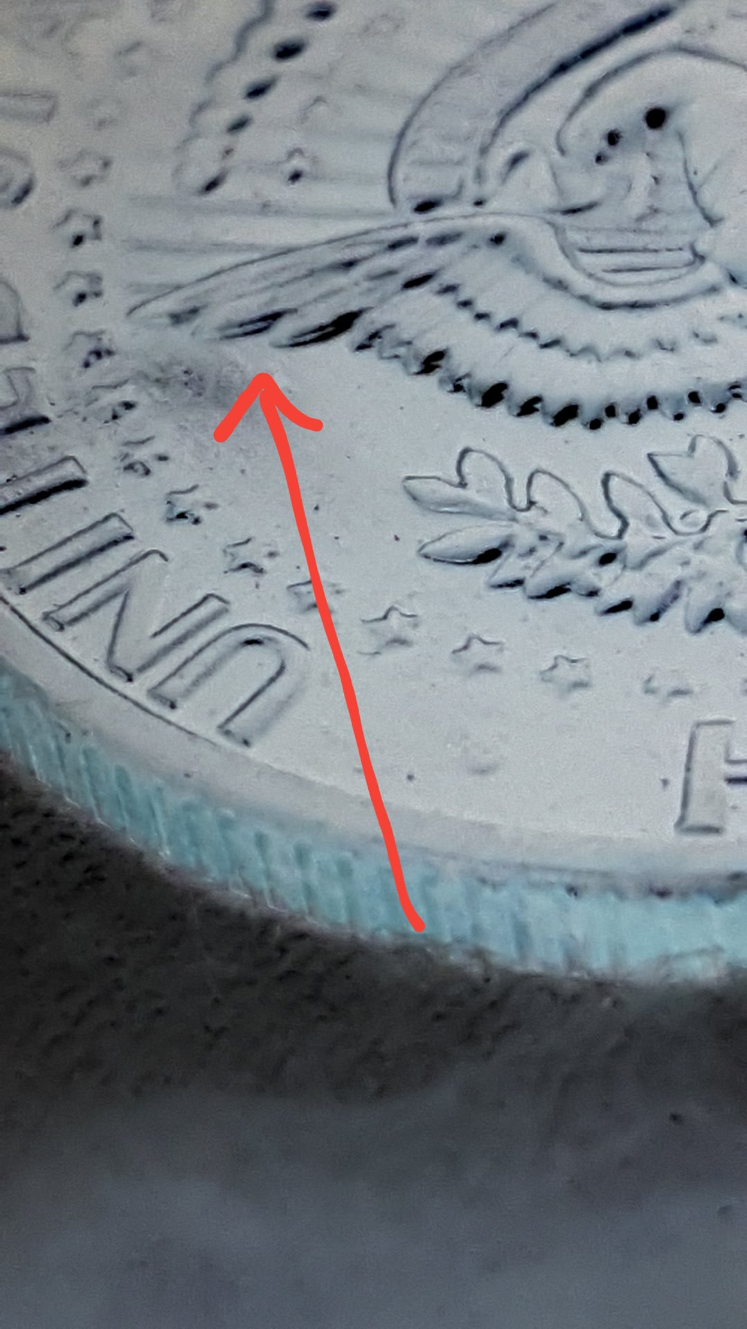 20190408_215224.jpg