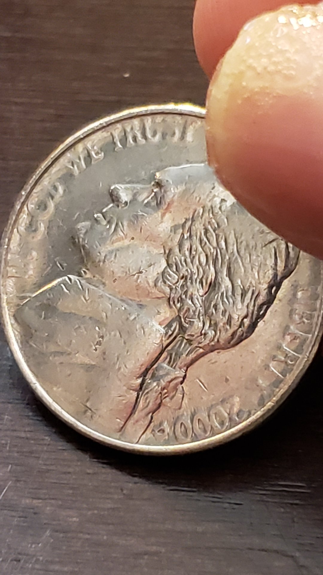 20190409_214031.jpg