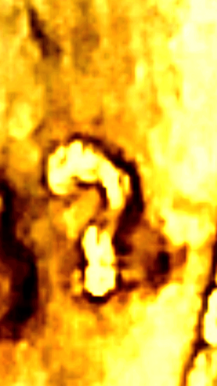 20190410_014354.png