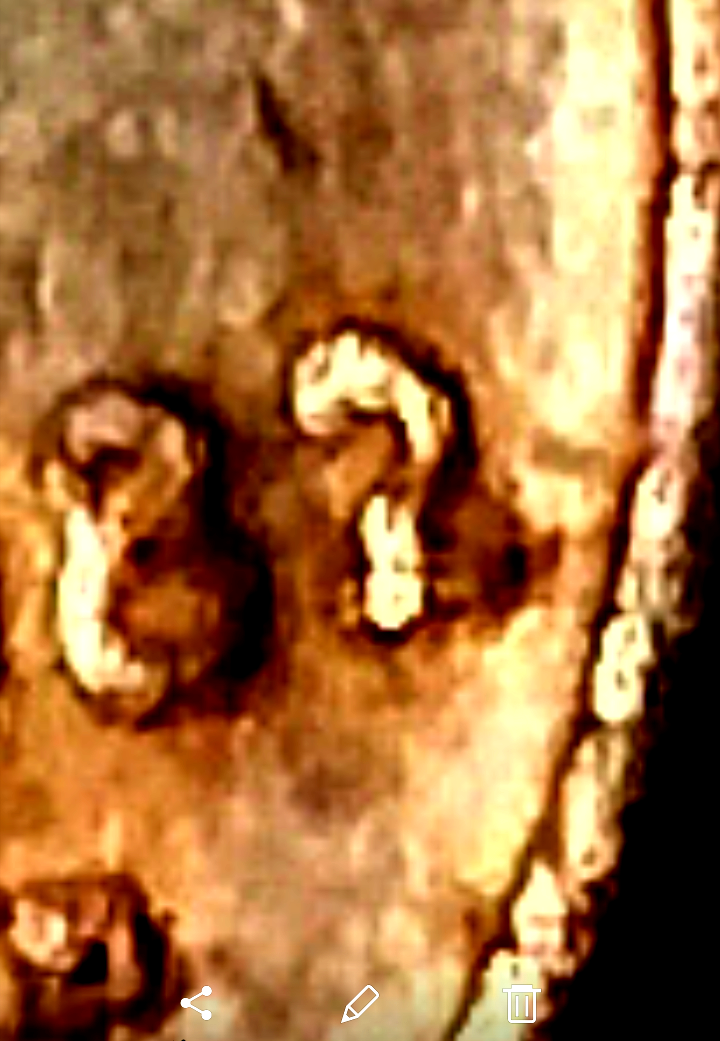 20190410_014649.png