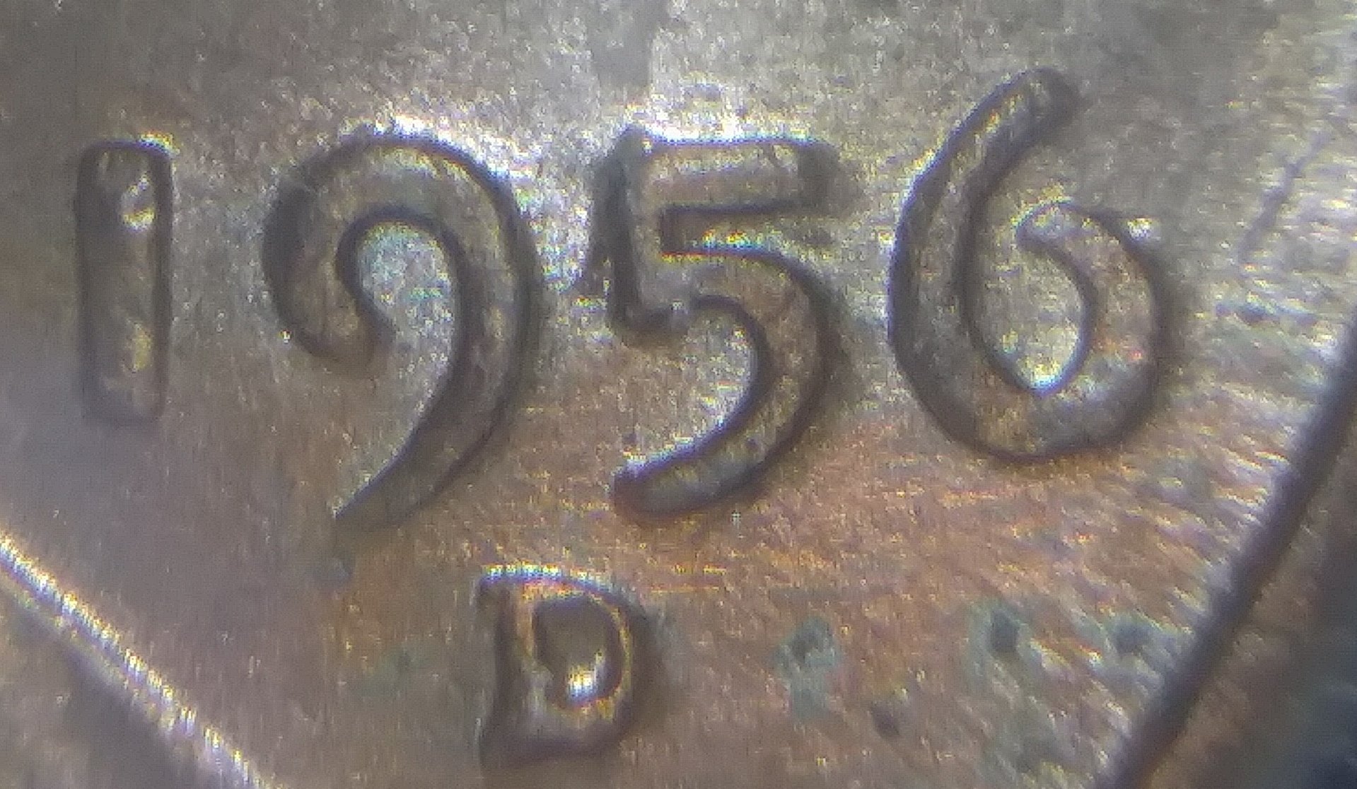 20190410_145027.jpg