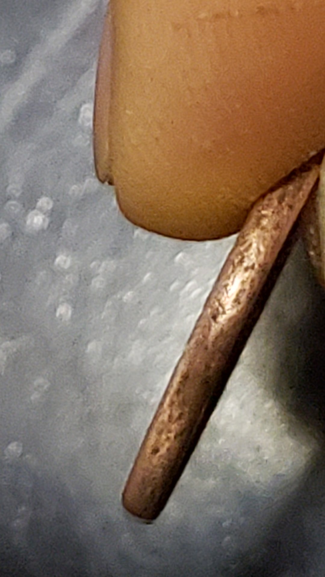 20190411_190103.jpg