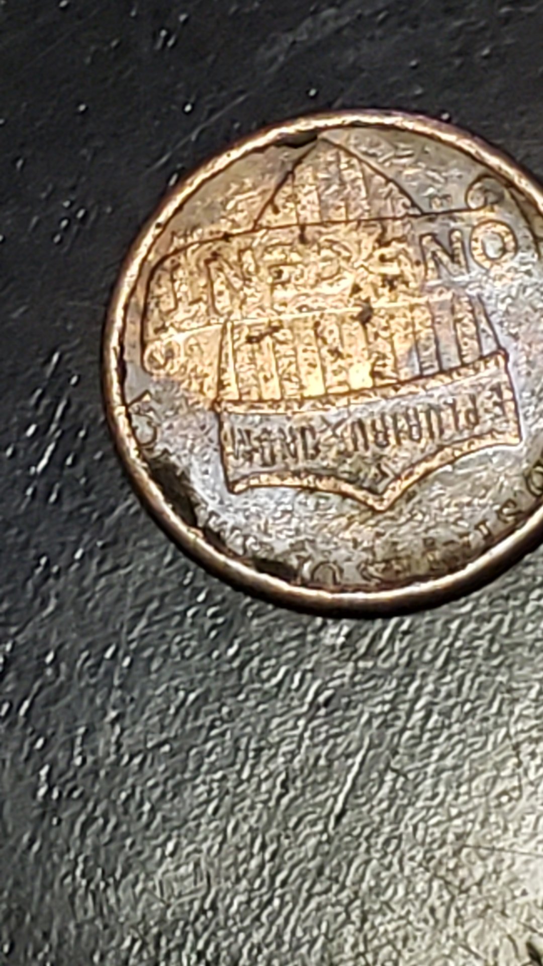 20190411_190128.jpg