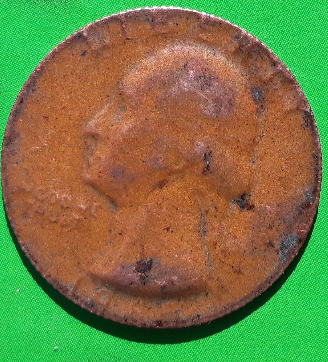 20190412_102914.jpg