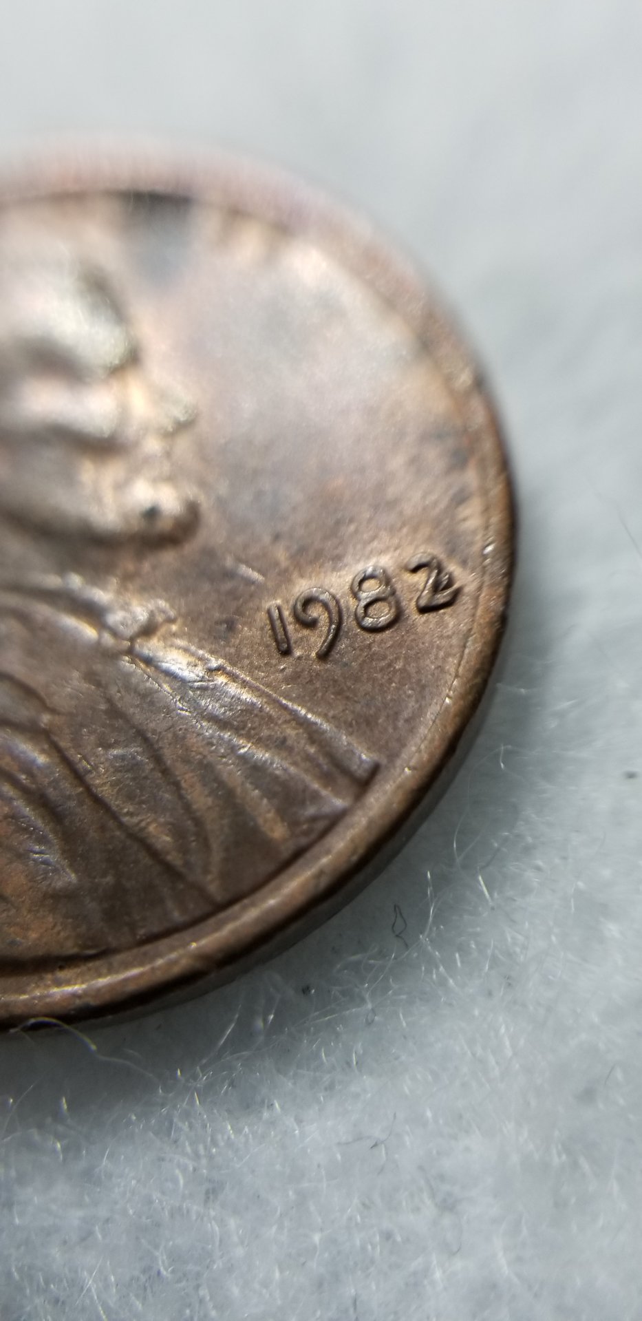 20190413_142317.jpg
