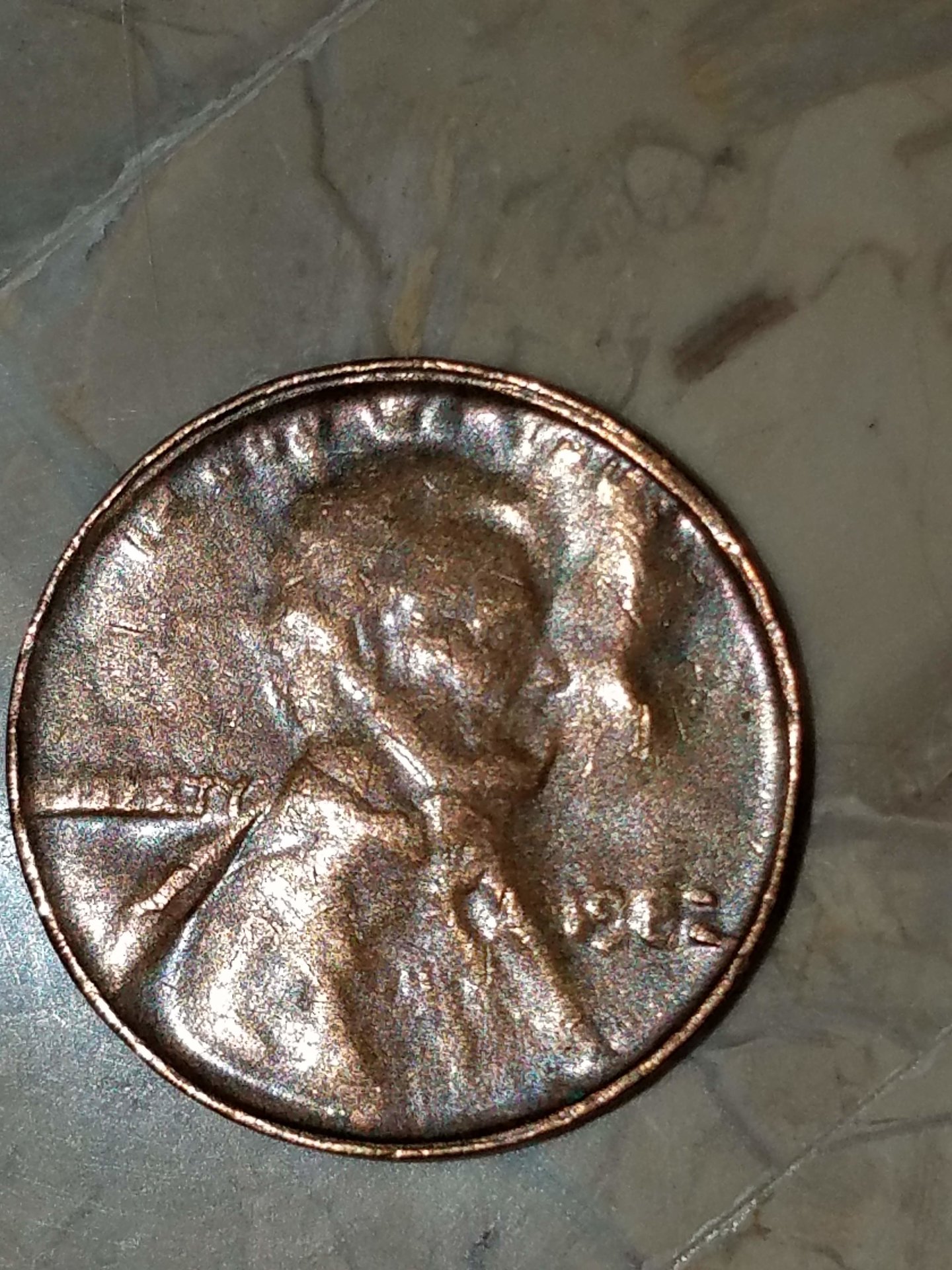 20190414_223155.jpg