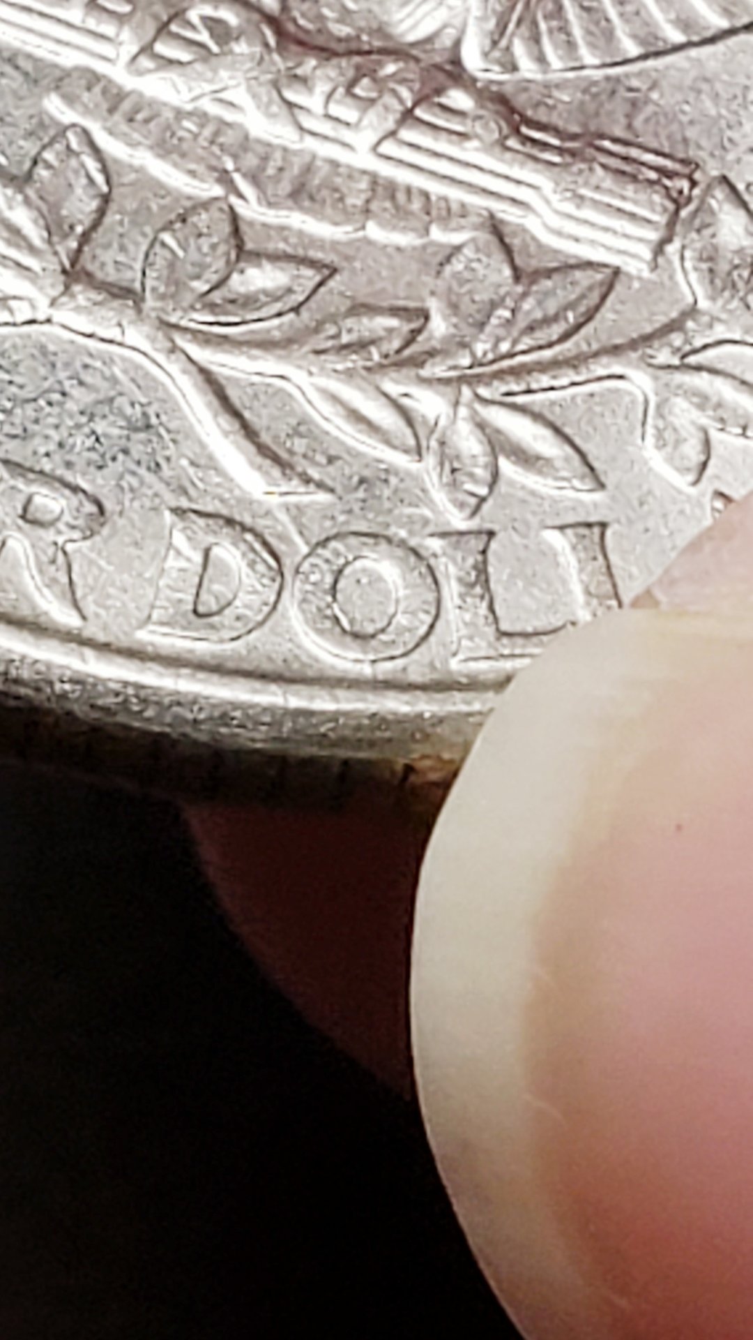 20190415_200238.jpg