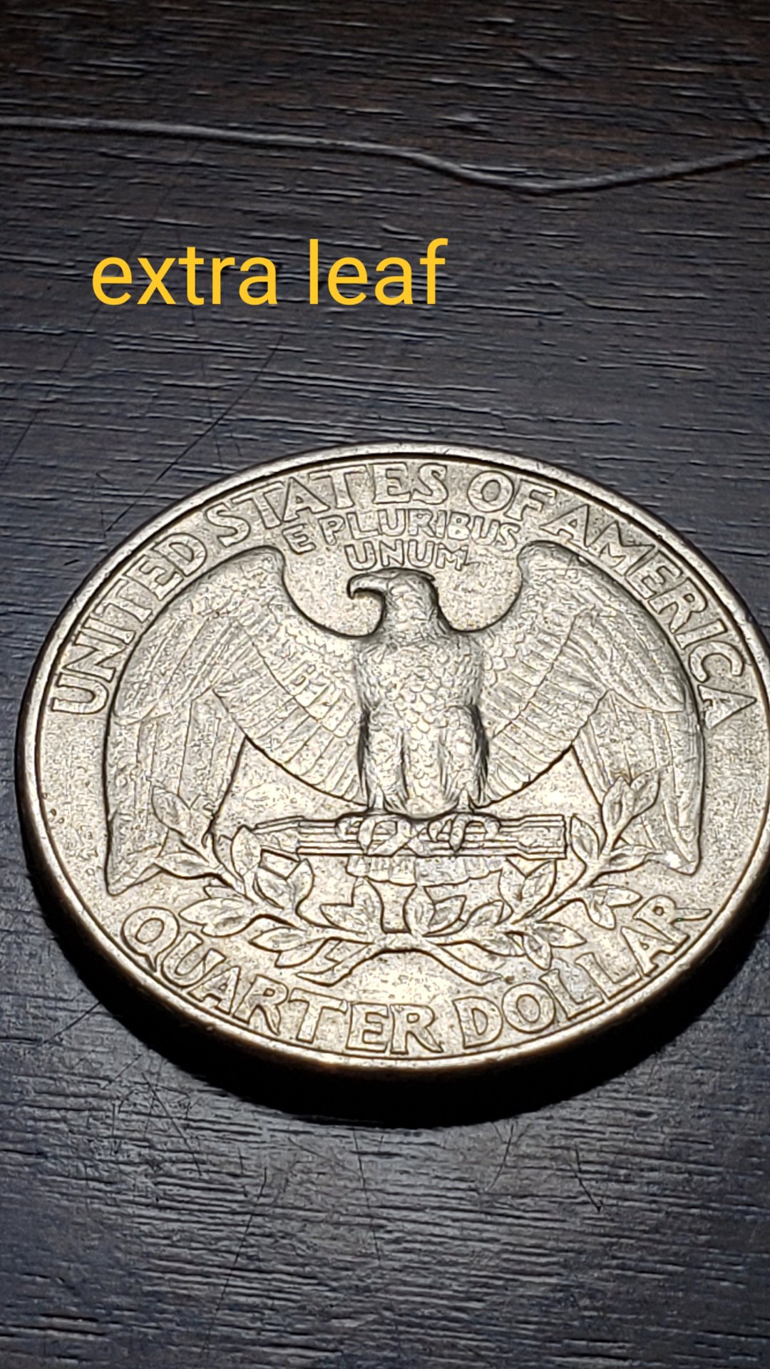 20190415_204308.jpg