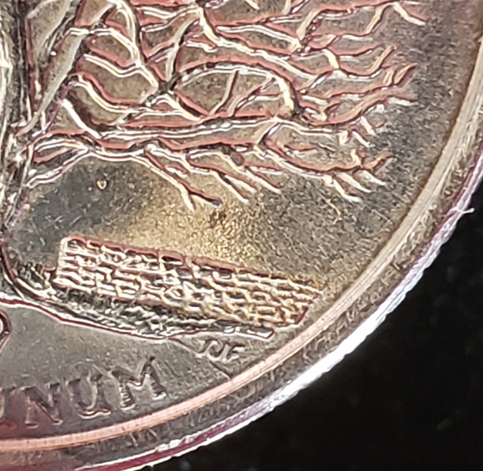 20190415_225708.jpg