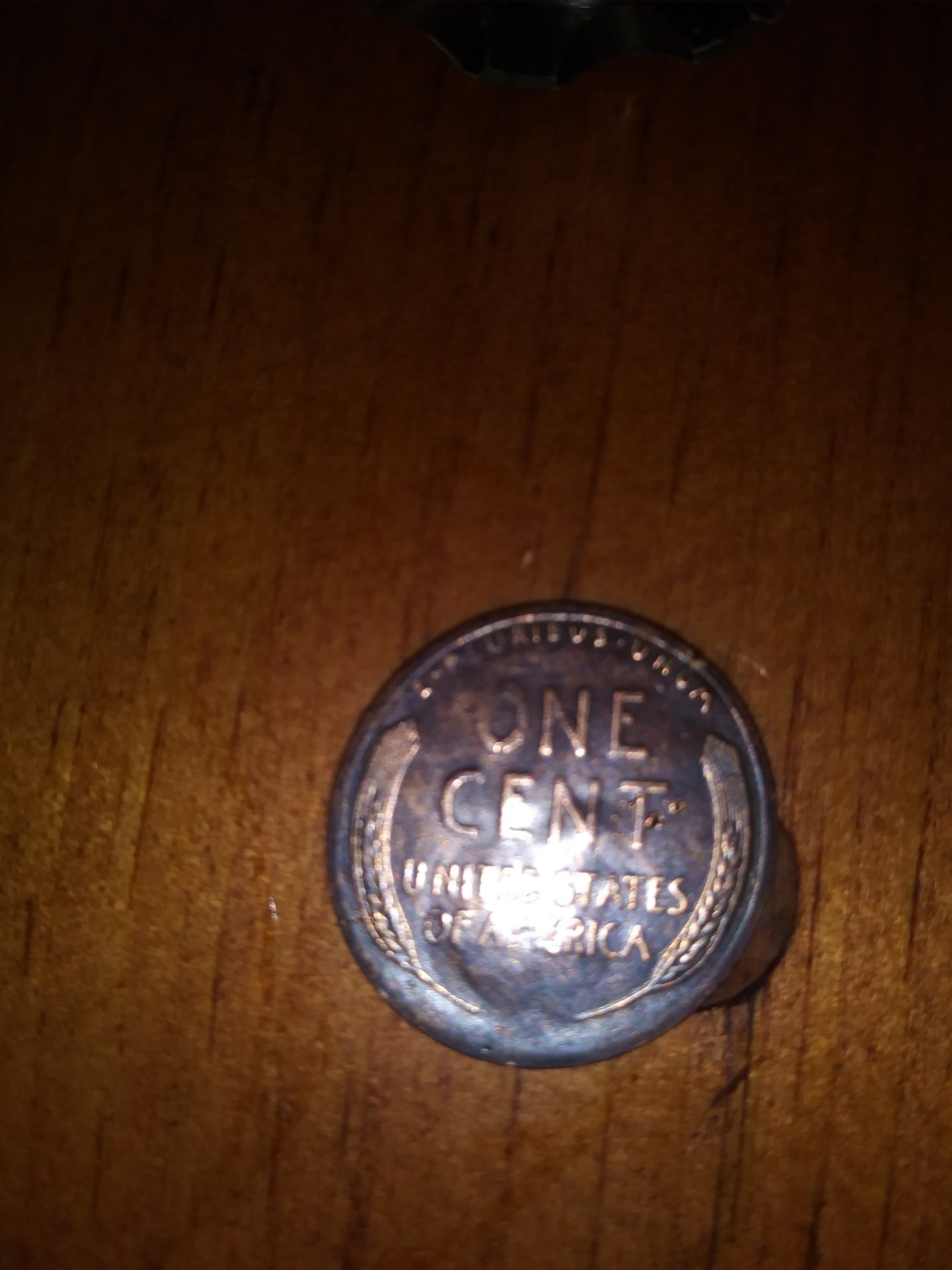 20190416_023325.jpg