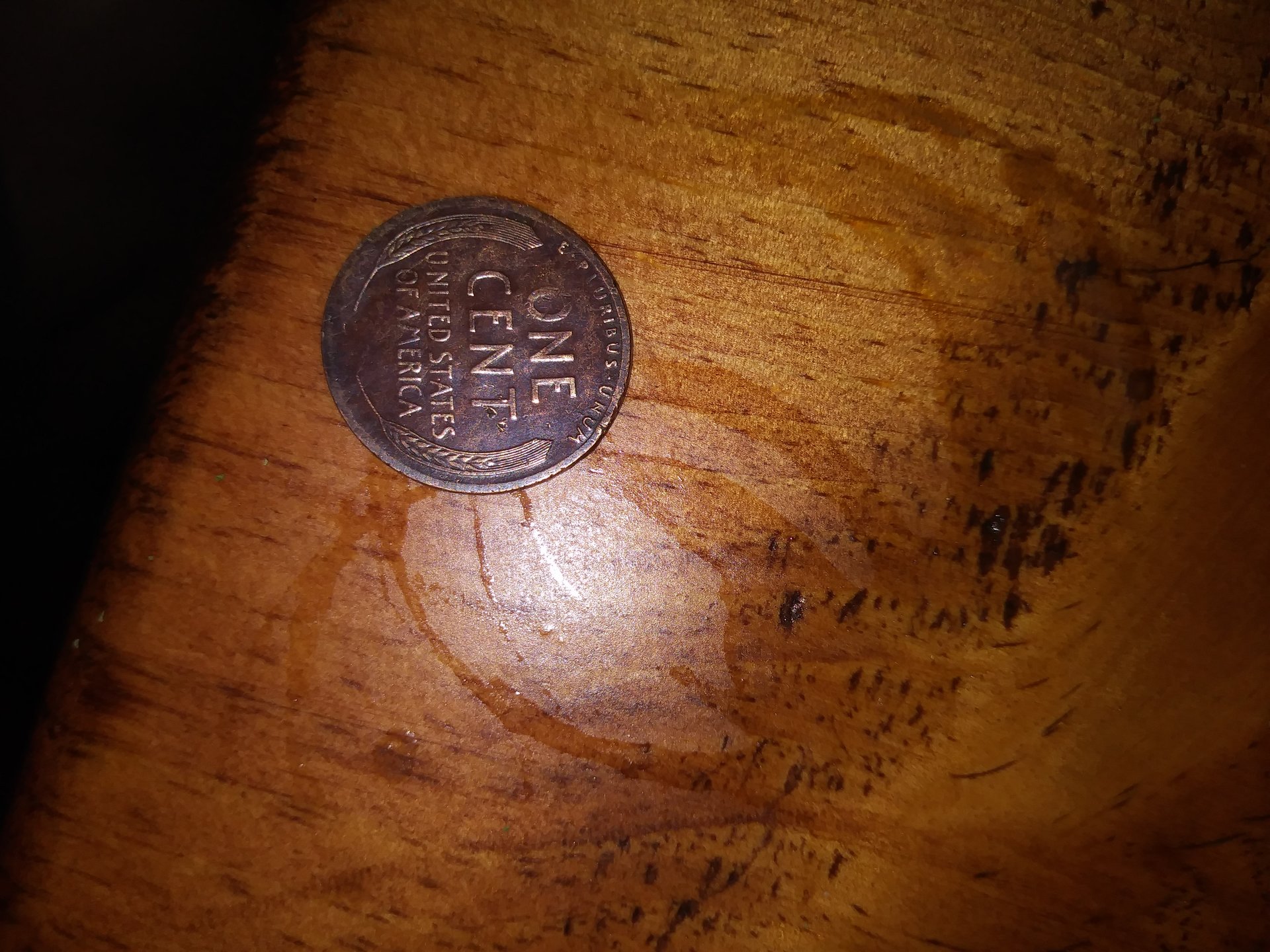 20190416_023908.jpg