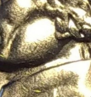 20190418_074536.jpg