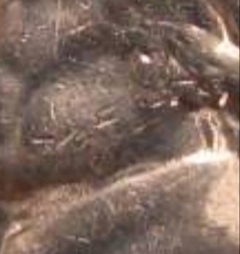 20190418_074611.jpg
